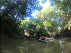 プランの魅力 像丛林吗？ ！！安全有趣的冒险 SUP 河上游船 の画像