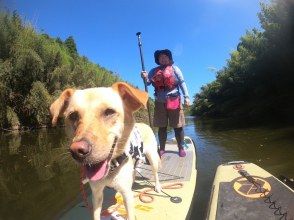 プランの魅力 大型犬同乗可能 の画像