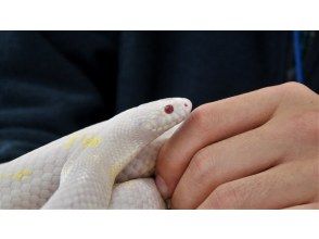 プランの魅力 雨天時&野外で出会えなくても… の画像