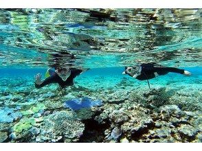 プランの魅力 ★ Snorkeling and reliable guides are very popular の画像
