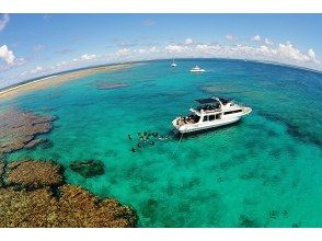 プランの魅力 ┗Ranked #1 for 11 consecutive years in the "User's Choice Shop Ranking" by the marine magazine "Marine Diving" ┗The highest ranking shop in the world's largest diving organization "PADI" ┗Okinawa's oldest and largest shop, founded 40 years ago ┗The shop with the largest number of female staff in Okinawa, so we provide excellent care from a female perspective ┗Certified as an excellent safety company by Okinawa Prefecture の画像