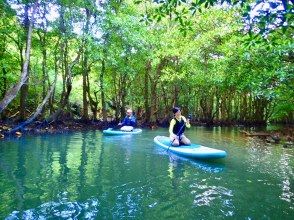 プランの魅力 海だけじゃない！ の画像