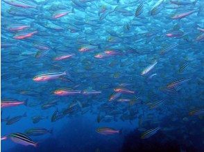 プランの魅力 の画像