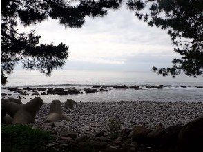 プランの魅力 森から見るオーシャンビュー の画像