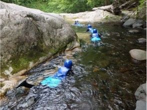 プランの魅力 丛林巡游 の画像