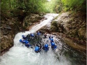 プランの魅力 普卡普卡失重體驗♪ の画像