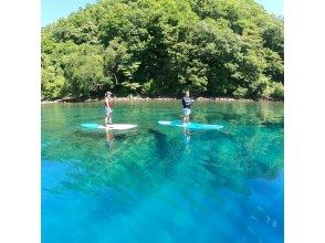 プランの魅力  の画像