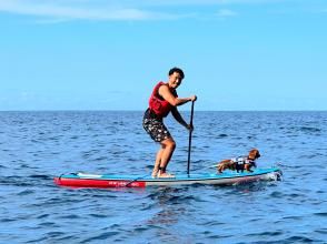 プランの魅力 愛犬と一緒に。DOG SUP(ドッグサップ)も の画像