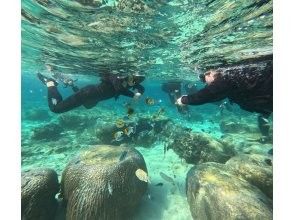 プランの魅力 圧巻の餌やりポイント の画像