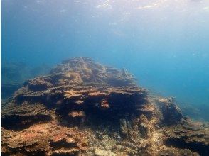 プランの魅力 双島のサンゴです の画像