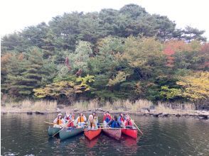 プランの魅力 グループ参加も♪ の画像