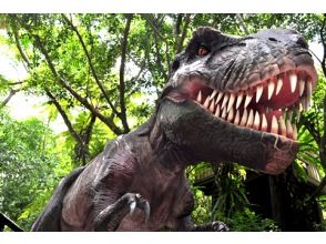 プランの魅力 A dinosaur appears in the subtropical forest of Yanbaru! の画像