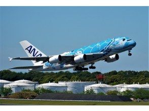 プランの魅力 ※休止中※あの”ウミガメ”をその目で見てみませんか？ の画像