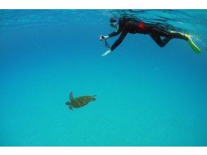 プランの魅力  の画像