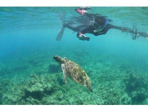 プランの魅力  の画像