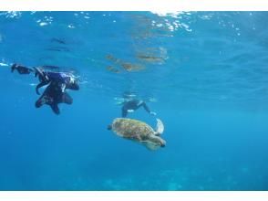 プランの魅力  の画像