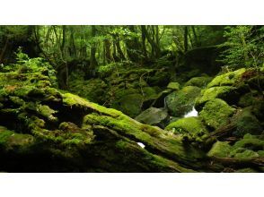 プランの魅力  の画像