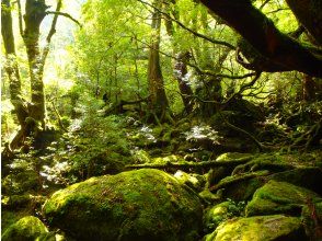 プランの魅力  の画像