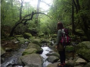 プランの魅力  の画像