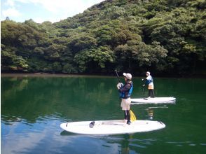 プランの魅力  の画像