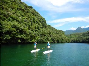 プランの魅力  の画像