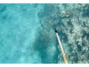 プランの魅力 素潜り漁で魚突き? の画像