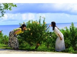 プランの魅力 一歩差をつける石垣島の想い出 の画像