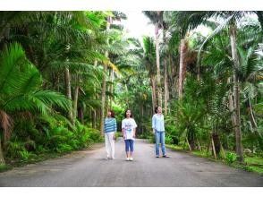 プランの魅力 ☆女子旅や石垣島を堪能したいゲストにおススメ☆ の画像