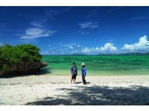 プランの魅力 ①日本離れした海外のような雰囲気！  ②自然風景の写真が好きな方へ！  ③海と緑が撮れる欲張りなロケ地を厳選 の画像