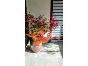 プランの魅力 玄関の紅葉 の画像