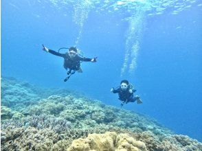 プランの魅力 自分で泳ぐことにも挑戦♪ の画像