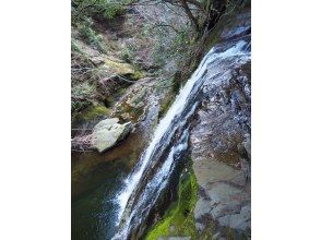 プランの魅力 Secret waterfall の画像