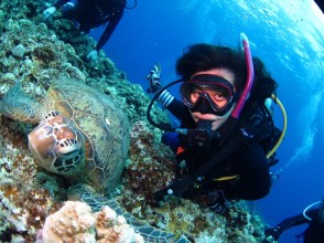 プランの魅力 時にはウミガメもぶらり！ の画像