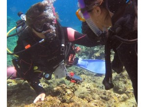 プランの魅力 浅い水深からトレーニングを始めます！ の画像