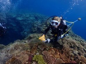 プランの魅力 スキル練習しながら体感する沖縄の美しい海 の画像