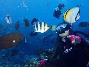 プランの魅力 沖縄は人懐こいお魚が沢山お出迎え！ の画像