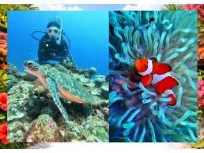 プランの魅力 ワイドもマクロも両方いける の画像