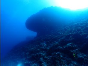 プランの魅力 地形派ダイバーの聖地！ の画像