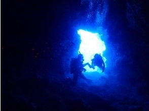 プランの魅力 写真に残せる思い出！ の画像