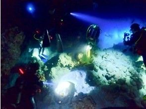 プランの魅力 水中で見る、幻想の光はまるで"宇宙" の画像