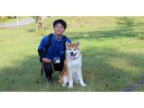 プランの魅力 You can take a two-shot photo with a cute Akita dog ♪ の画像