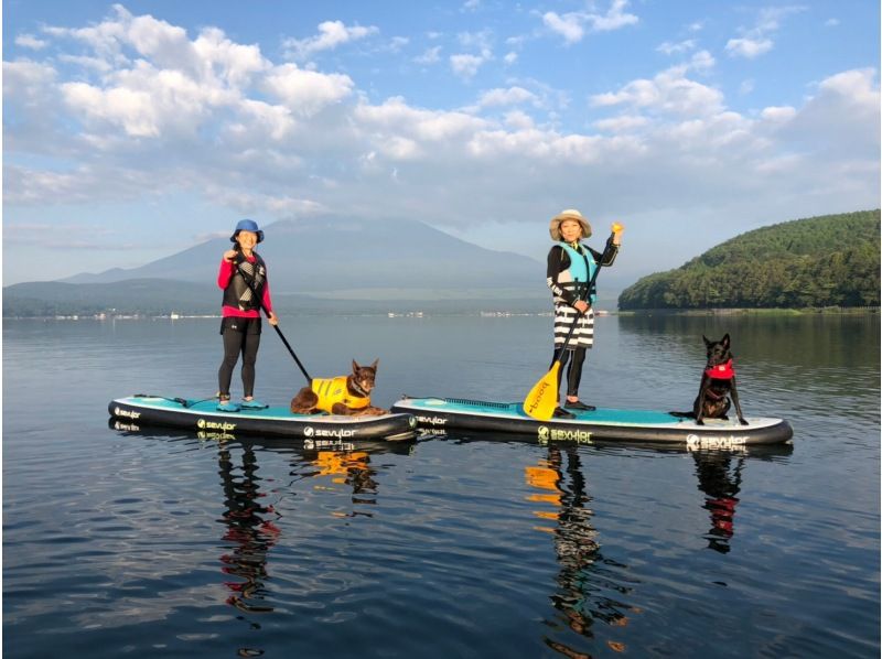 ทะเลสาบยามานาชิ ยามานากะ เที่ยวชมกับสุนัข เล่นกับสุนัขของคุณ ภูเขาฟูจิ SUP SHUSUIYA