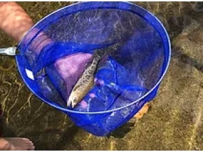 プランの魅力 在魚塘釣魚和捕魚 の画像