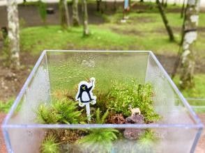 プランの魅力 小学生の方には画像の動物ピックのおまけ付き の画像