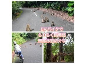 プランの魅力 EVバイクでサファリパーク体験【所要時間目安3時間〜5時間】 の画像