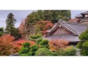 プランの魅力 around autumn の画像