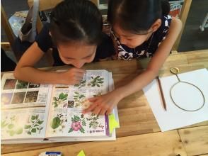 プランの魅力 夏休み子どもあかり塾 の画像