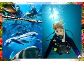 プランの魅力 写真に残せる感動体験！ の画像