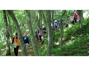 プランの魅力 在樹林裡刷新 の画像