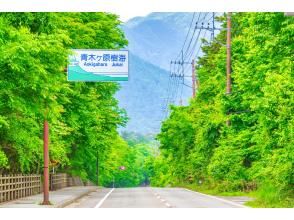 プランの魅力 Aokigahara Jukai の画像